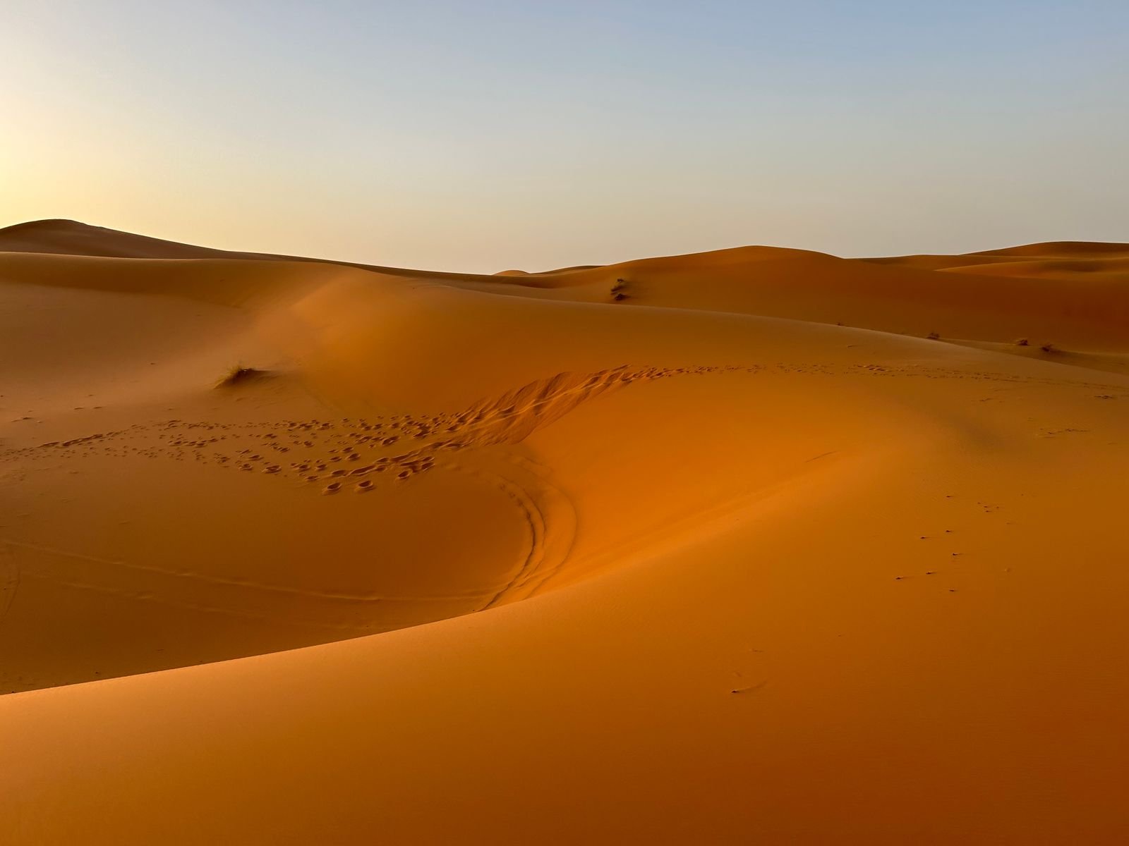 Golden sand dunes in the Moroccan Sahara